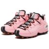 Sneakers Trailblazer "Pink"
